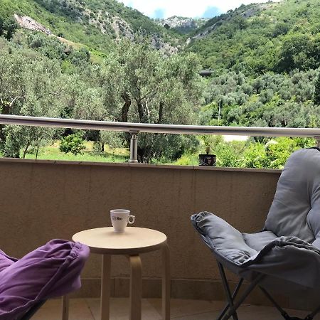 Vila V Lux Apartments Petrovac Εξωτερικό φωτογραφία